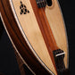 #2.060 Rosewood & Cedar Custom Sonata Dulcimer